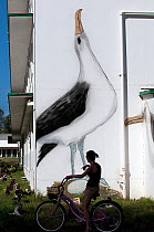 Cyclist outside Charlie Barracks with painting of  Laysan Albatross (Phoebastria immutabilis) Midway Island, Midway, Central Pacific.
