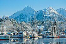Snow covered fishing boats in Sitka Harbour, Alaska. Photograph taken on location for BBC TV series 'Nature's Great Events', March 2008.