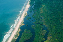 Rainforest on the coast of the Atlantic Ocean, Gamba, Gabon.~Photograph taken on location for BBC 'Africa' series, January 2011.