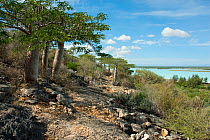 View from limestone escarpment overlooking Lac Tsimanampetsotsa, Madagascar during rainy season. Photograph taken on location for BBC 'Wild Madagascar' Series, January 2010