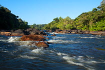 Gran Rio flowing through the Awadan Rapids. Central Suriname, September.
