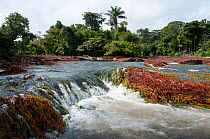 Rapid near Peti in the Awadan system, Gran Rio, Suriname, September 2012.