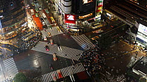 Timelapse of crowds of people crossing the centre of Shibuya shopping and entertainment district, Tokyo, Japan, 2011.