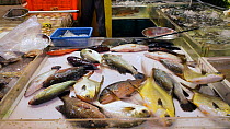 Live fish for sale at a street market, Wan Chai District, Hong Kong, China, 2011.