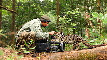 Cameraman Sandesh Kadur filming a tame Clouded leopard (Neofelis nebulosa), part of a rehabilitation project, Manas National Park, Kokrajhar, Assam, India, September 2009.