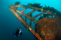 Wreck of the Rainbow Warrior with diver, Cavalli Islands, New Zealand, January 2013. Model released.