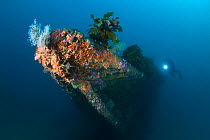 Wreck of the Rainbow Warrior, Cavalli Islands with diver, New Zealand, January 2013. Model released.