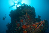 Divers on the wreck of HMNZS Canterbury, Bay of Islands, New Zealand, January 2013