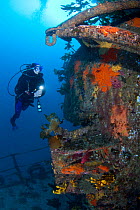 Diver on the wreck of HMNZS Canterbury, Bay of Islands, New Zealand, January 2013. Model released.