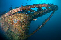 Wreck of the Rainbow Warrior boat, Cavalli Islands, New Zealand, February