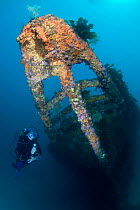 Wreck of the Rainbow Warrior with diver, Cavalli Islands, New Zealand, February 2013. Model released.