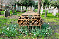 &#39;Innvertebrate&#39;, the Boutique Bug Hotel or Insect House situated amongst gravestones, Bunhill Fields Burial Ground or Cemetery, London Borough of Islington, London, England, UK