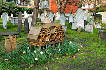 &#39;Innvertebrate&#39; the Boutique Bug Hotel or Insect House situated amongst gravestones, Bunhill Fields Burial Ground or Cemetery with flats behind and people on balcony, London Borough of Islingt...
