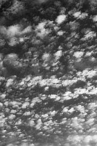 Alto cumulus clouds in black and white. Angus, Scotland, August 2012.