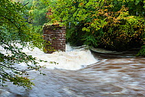 Flooding on the North Esk, past pier of degraded footbridge. Angus, Scotland, 12th October 2012. Sequence 1 of 2.