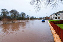 Flooding on the River South Esk. Angus, Scotland, 23rd December 2012.