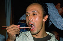 Man eating Japanese giant hornet (Vespa mandarinia) deep fried, Ina Nagano Province, Japan, March 2006