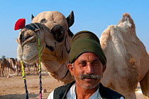 Camel herder with Dromedary camel (Camelus dromedarius) Thar Desert, Rajasthan, India