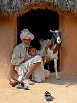 Goat keeper with baby and domestic goat (Capra aegagrus hircus) Thar Desert, Rajasthan, India