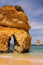 Sandstone rock archway at Praia do Camilo (Camel beach). Lagos, Algarve, Portugal, June, 2012.