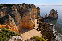 Weathered sandstone cliffs and sea stacks at Ponta da Piedade. Lagos, Algarve, Portugal, June 2012.