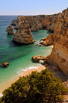 Overview of beach, sandstone cliffs, sea stacks and rock arch at Praia da Marinha. Near Carvoeiro, Algarve, Portugal, June 2012.