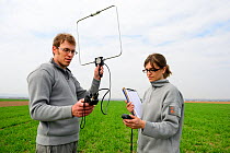 Scientists from the French Wildlife Department (ONCFS) radio tracking the common hamster (Cricetus cricetus) in a wheat field, Alsace, France, April 2013