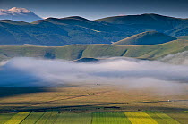 Low lying cloud / mist over the Piano Grande in the early morning, Sibillini, Norcia, Italy, June 2010