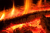 Interior of a log fire, Orvieto, Italy, April