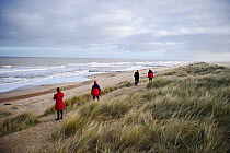Visitors viewing Grey Seal colony at Winterton Dunes, Norfolk, December 2010