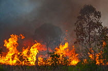 Bush fire near Charter Towers in Queensland, Northern Australia, October