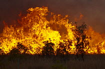 Bush fire near Charter Towers in Queensland, Northern Australia, October