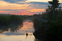 Florida Everglades National Park landscape, with people on pathway stopping to admire the view, at Anhinga Trail at dawn, Florida USA, March 2010