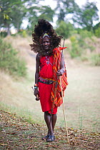 Kitkung Nampaso - Masai Warrior wearing Ostrich feather head dress as worn during Euonoto ceremonies signifying the final stages of warriorhood, Masai Mara, Kenya. August 2010