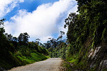 Highlands Highway running through rain forest at Tari, Papua New Guinea