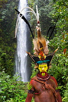 Timan Thumbu - a Huli Wigman from Tari Southern Highlands Papua, New Guinea. Head dress contains Superb Bird of Paradise, Papun Lorikeet, Leeser Bird of Paradise, Ribbon-tailed Astrapia, Lawes Parotia...