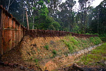 Fortification, moat and stakes around habitation in Tari Valley, Southern Highlands, Papua New Guinea