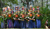 Tribal performers from the Anglimp District, in Waghi Province, performing at a Sing-sing - Hagen Show, Western Highlands, Papua New Guinea, August 2011
