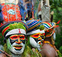 Tribal performers from the Anglimp District in Waghi Province, performing at a Sing-sing - Hagen Show Western Highlands, Papua New Guinea, August 2011