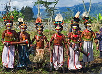 Western Highlanders performing at Hagen Show in Western Highlands, Papua New Guinea. August 2011