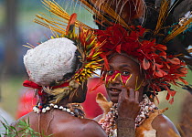 Performing having face painted, in preparation for the Hagen show, Western Highlands, Papua New Guinea, August 2011