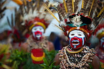Sing-sing group from Hagen in Western Highlands performing at Hagen Show, Papua New Guinea, August 2011