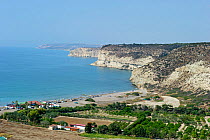 Cliffs near Episkopi on Cyprus habitat for breeding Eleonora's Falcons, September 2011