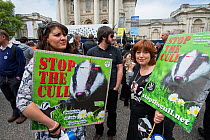 Women holding signs reading 'Stop the cull' at anti badger cull march, London, 1st June 2013. Editorial use only.