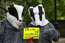 Two people in badger costumes holding a sign which says 'TB or Not TB - Vaccination is the answer' at anti badger cull march, London, 1st June 2013