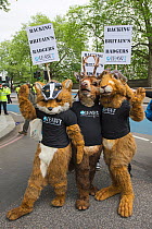 People dressed in fox, deer and hare costumes, with a badger masks and International Fund for Animal Welfare t-shirts, at anti badger cull march, London, 1st June 2013