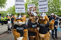 People dressed in fox, deer and hare costumes, with a badger masks and International Fund for Animal Welfare t-shirts, at anti badger cull march, London, 1st June 2013