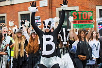 Man in badger costume with his hands in the air, at anti badger cull march, London, 1st June 2013
