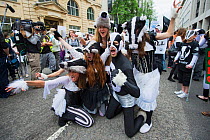 Dancers from the Artful Badger group, dancing in badger costumes, anti badger cull march, London 1st June 2013.