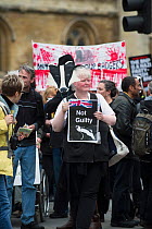 Anti badger cull marcher outside the Houses of Parliament, holding sign saying 'Not guilty' London 01 June 2013